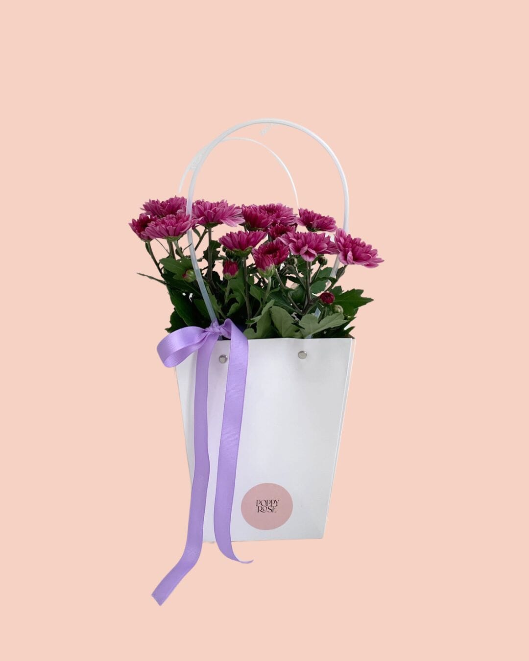 Chrysanthemum in Gift Bag - Mother's Day - Poppy Rose - Poppy Rose Flowers Brisbane