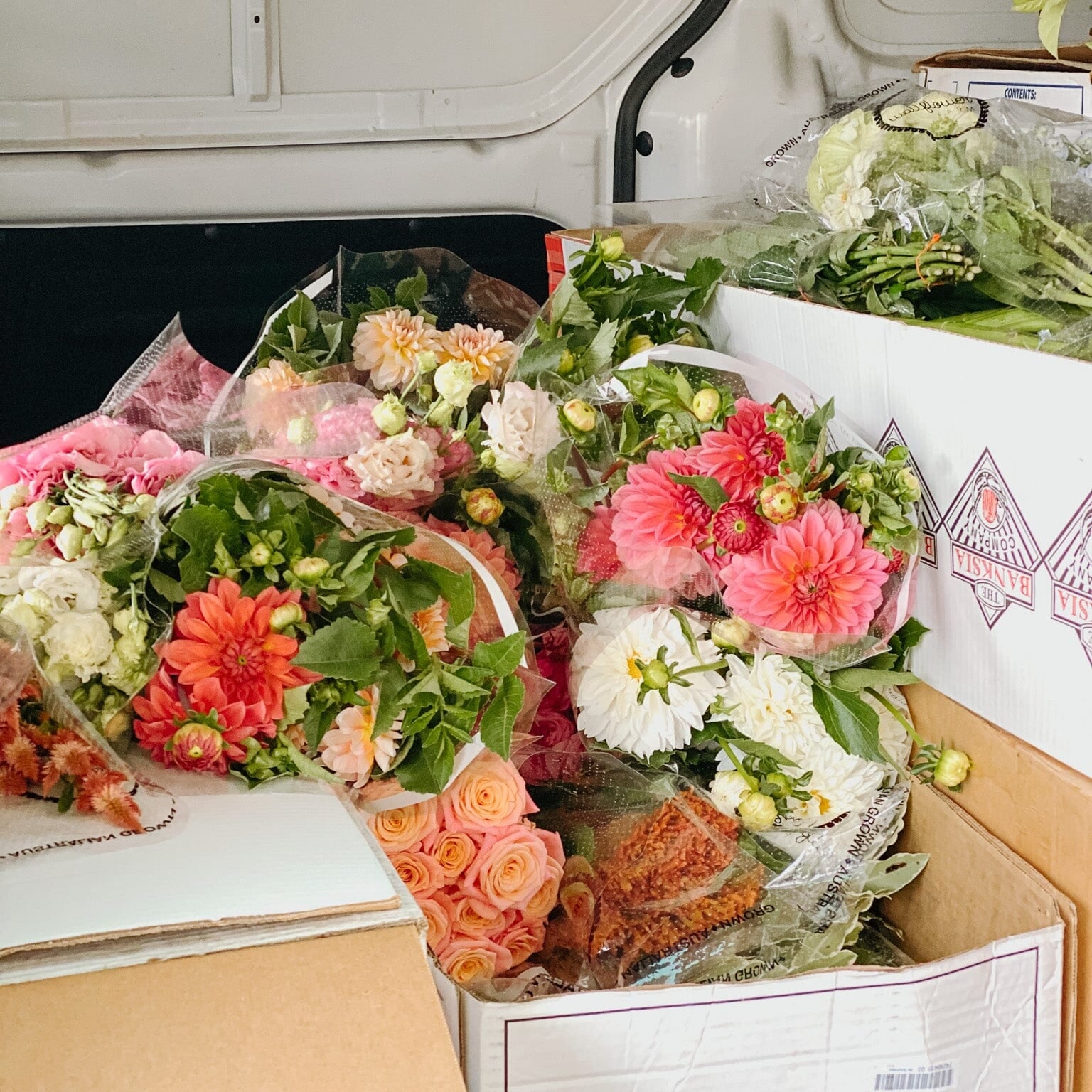 Best Florist in Brisbane