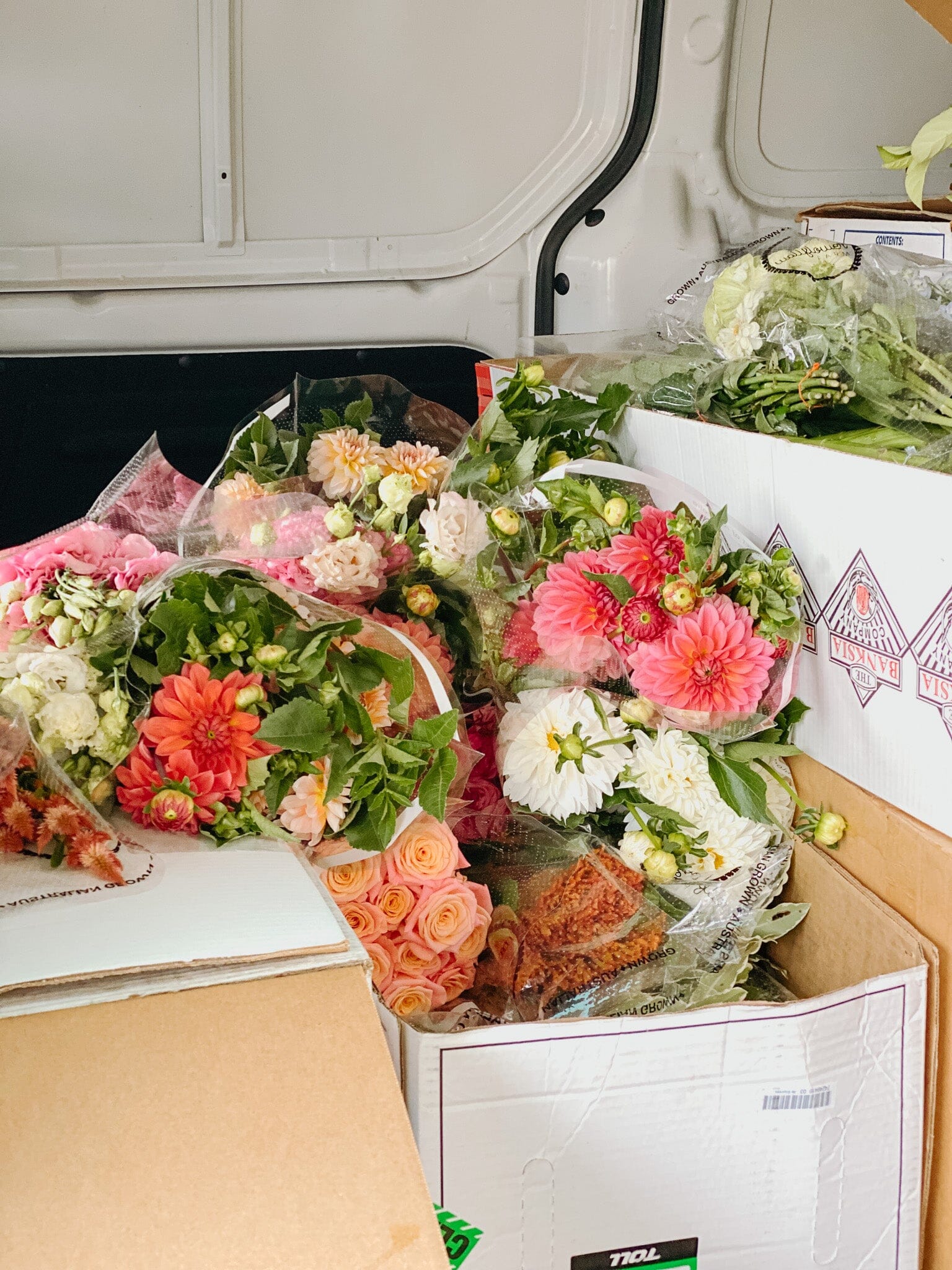 Best Florist in Brisbane