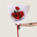 12 Stem Red Rose - Poppy Rose - Poppy Rose Flowers Brisbane