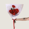 12 Stem Red Rose - Poppy Rose - Poppy Rose Flowers Brisbane