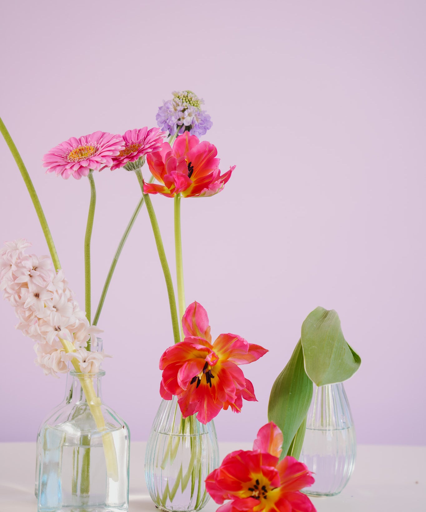Bright Pink Tulips in Bud Vases by Poppy Rose Brisbane