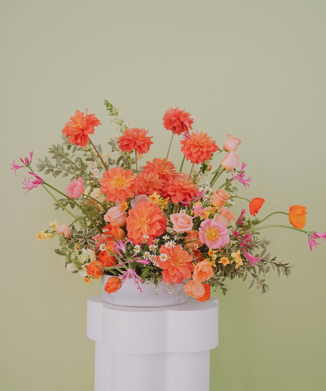 Large and Bright Event Flowers by poppy Rose Brisbane