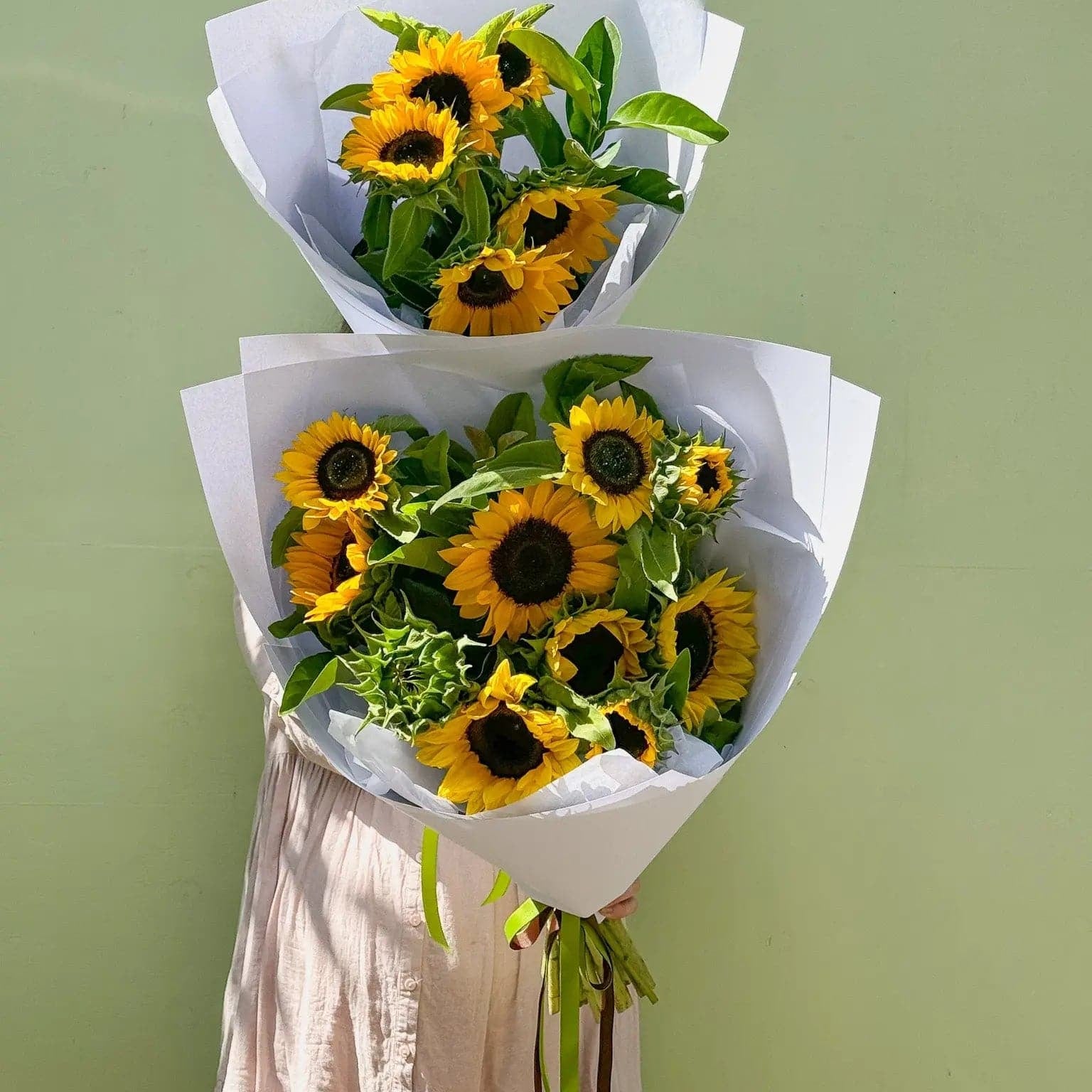 Sunflowers - Poppy Rose