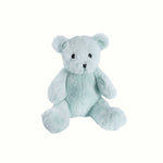 Alex the Blue Teddy - Poppy Rose - Poppy Rose Flowers Brisbane