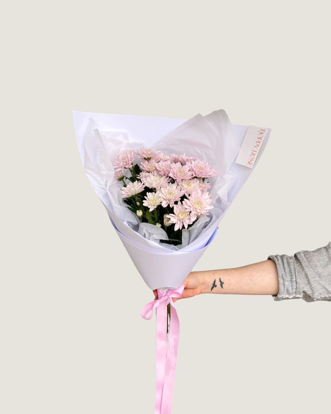 Chrysanthemum - Poppy Rose - Poppy Rose Flowers Brisbane