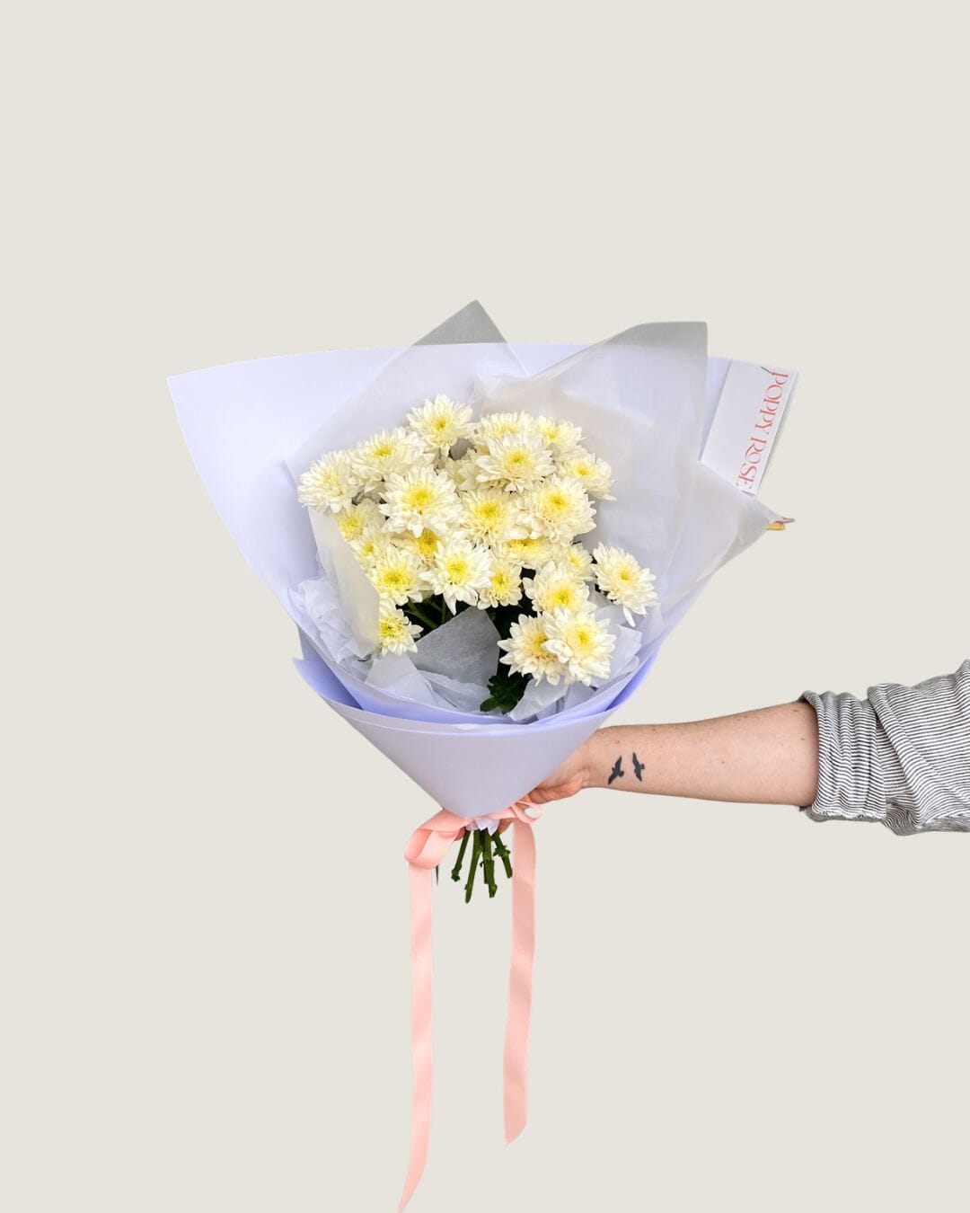 Chrysanthemum - Poppy Rose - Poppy Rose Flowers Brisbane