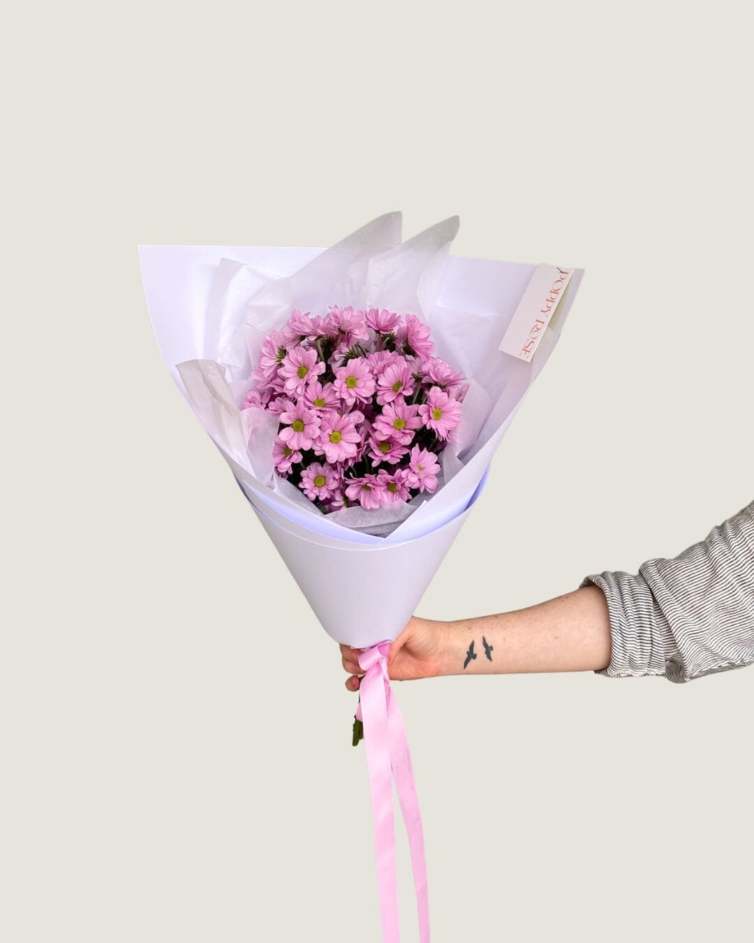 Chrysanthemum - Poppy Rose - Poppy Rose Flowers Brisbane