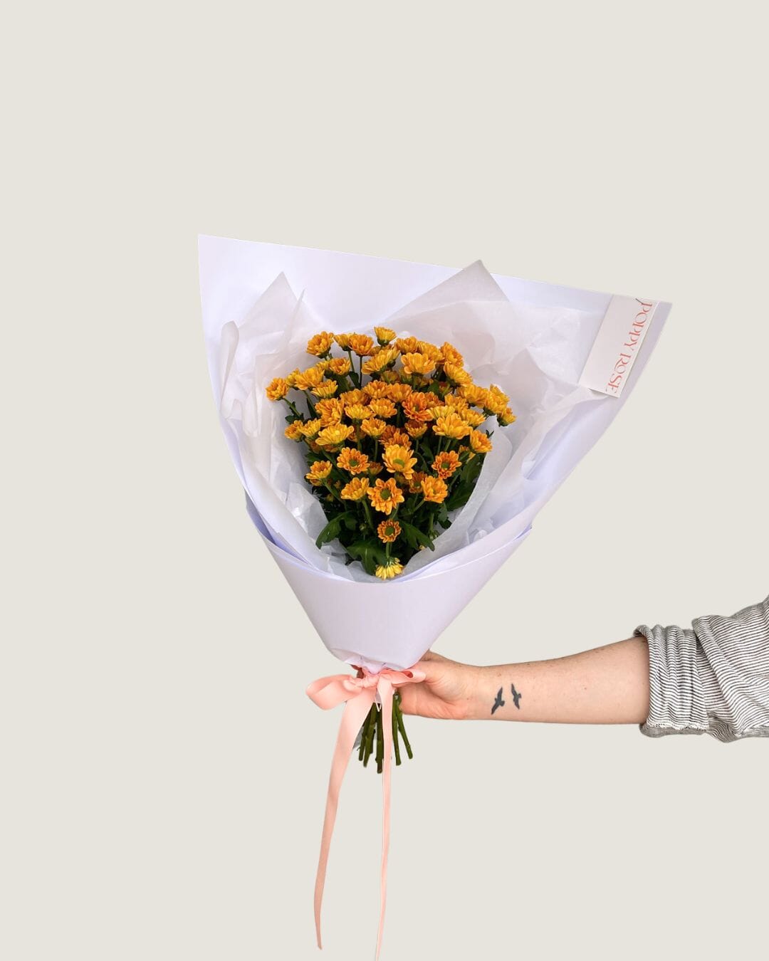 Chrysanthemum - Poppy Rose - Poppy Rose Flowers Brisbane