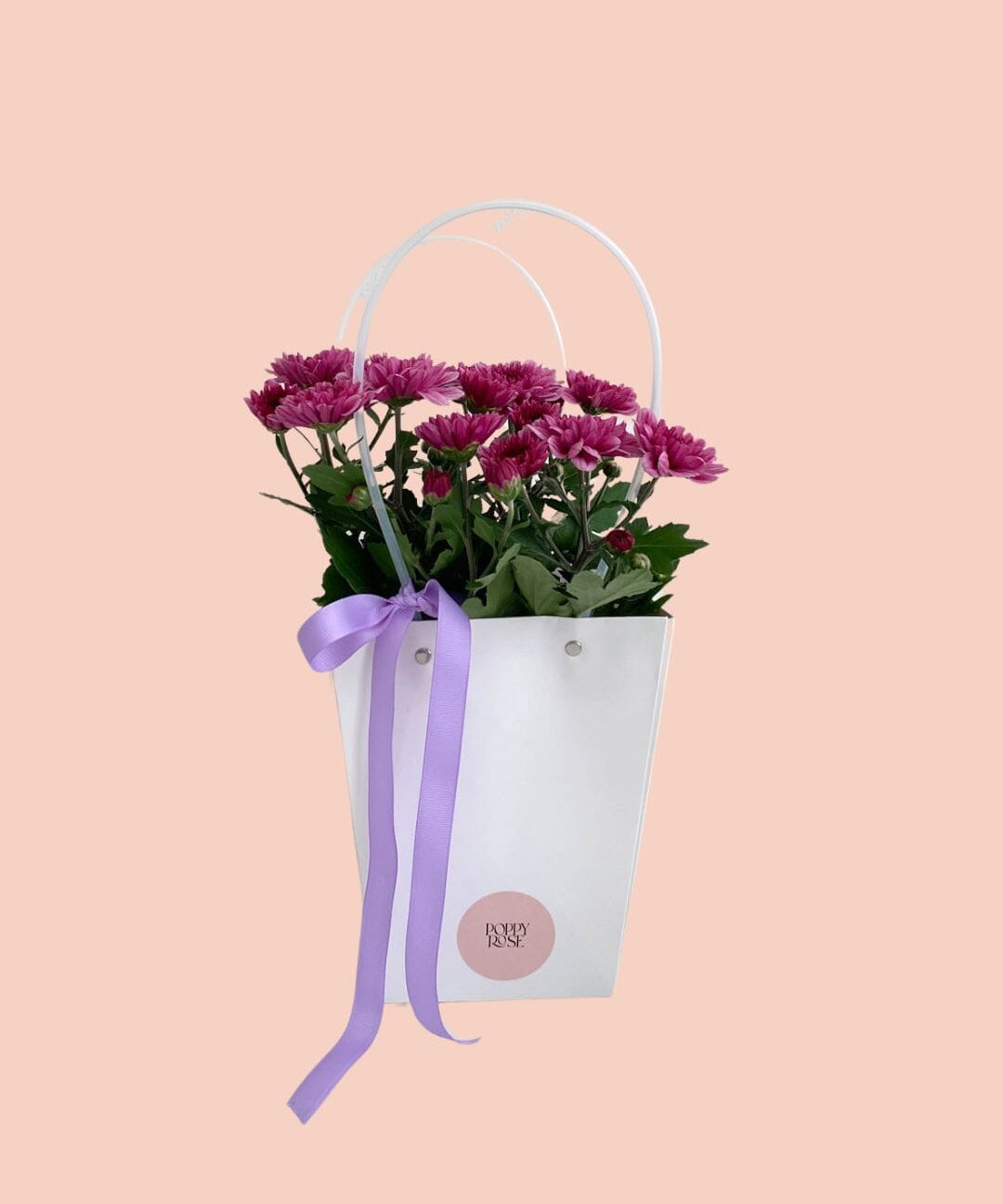 Chrysanthemum in Gift Bag - Mother's Day - Poppy Rose - Poppy Rose Flowers Brisbane