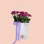 Chrysanthemum in Gift Bag - Mother's Day - Poppy Rose - Poppy Rose Flowers Brisbane