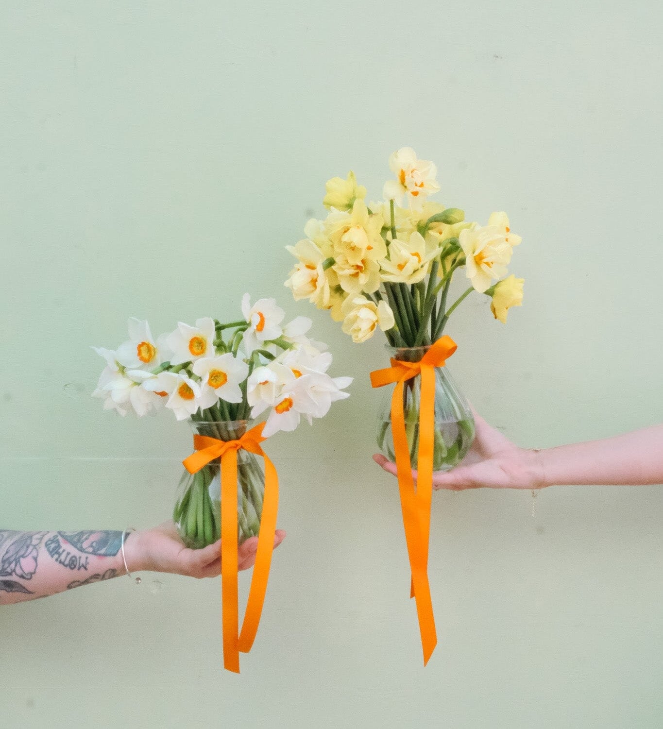 Daffodil Vase Flowers Poppy Rose 