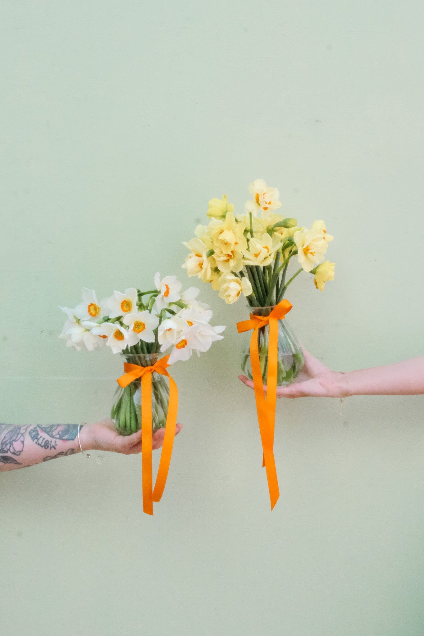 Daffodil Vase Flowers Poppy Rose 