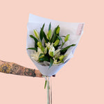 Lillies - Mother's Day - Poppy Rose - Poppy Rose Flowers Brisbane