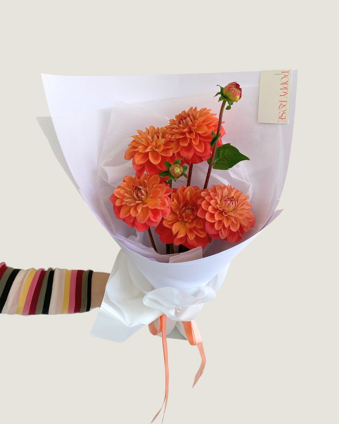 Local Dahlia's - Poppy Rose - Poppy Rose Flowers Brisbane