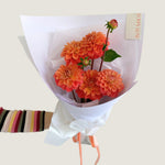Local Dahlia's - Poppy Rose - Poppy Rose Flowers Brisbane