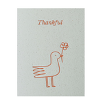 Mixed Moments - 8 Cards - Short Talk - Poppy Rose Flowers Brisbane