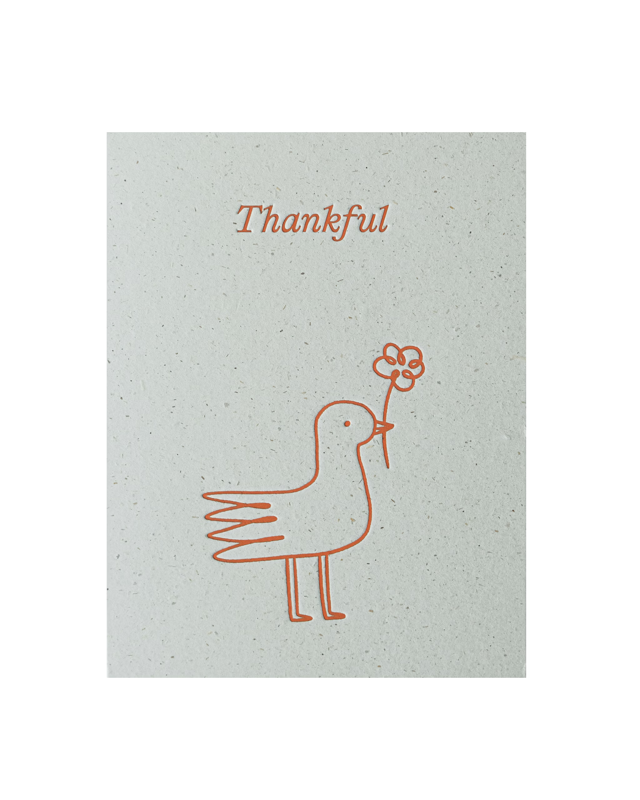 Mixed Moments - 8 Cards - Short Talk - Poppy Rose Flowers Brisbane