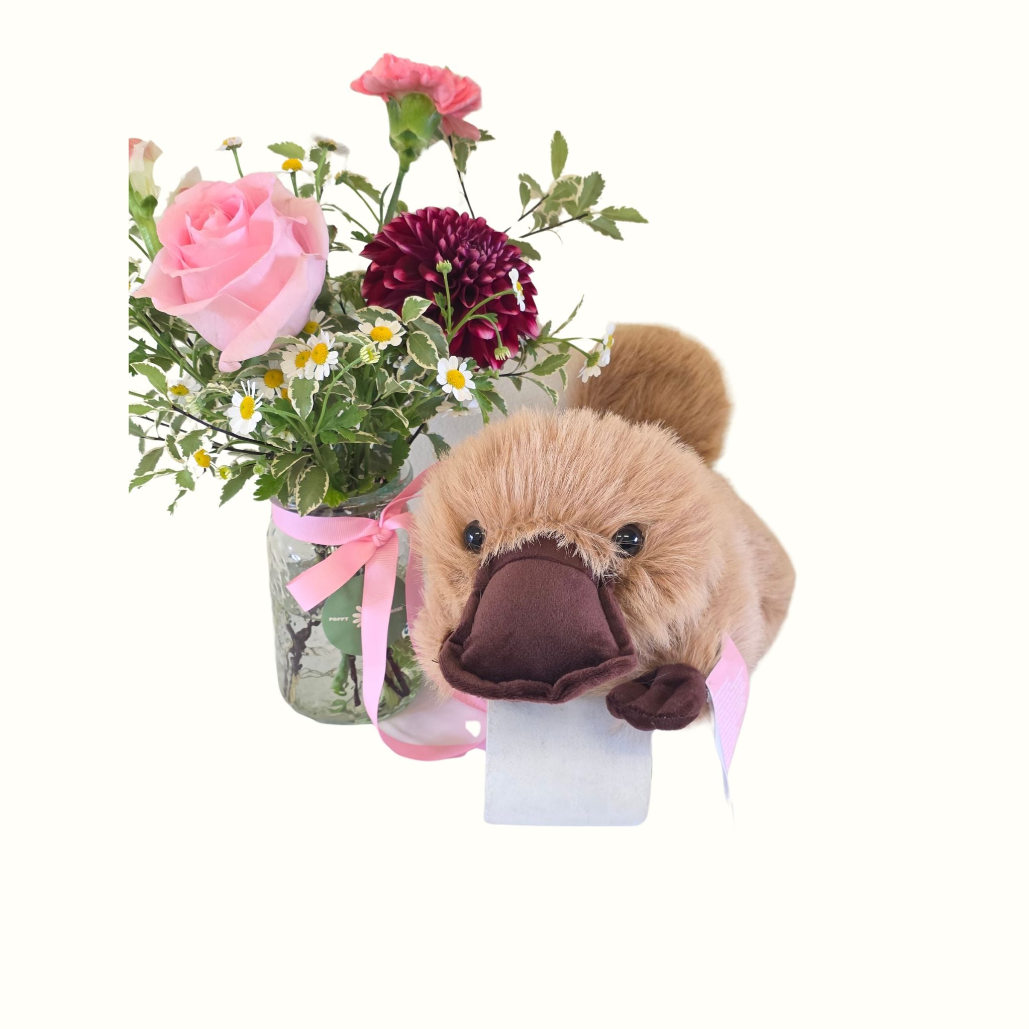 Penny Platypus Soft Toy - Poppy Rose - Poppy Rose Flowers Brisbane