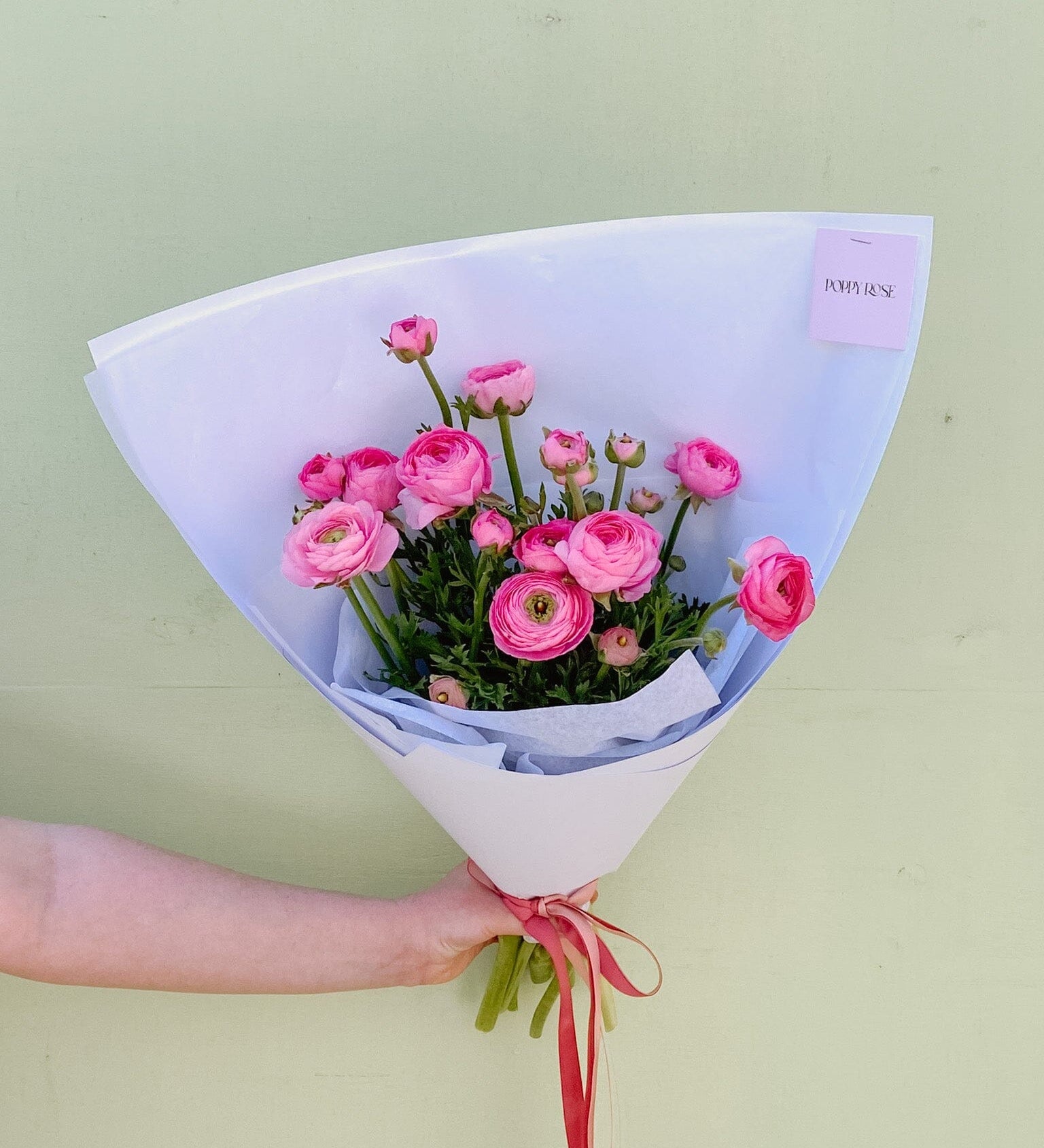 Ranunculus Flowers Poppy Rose 