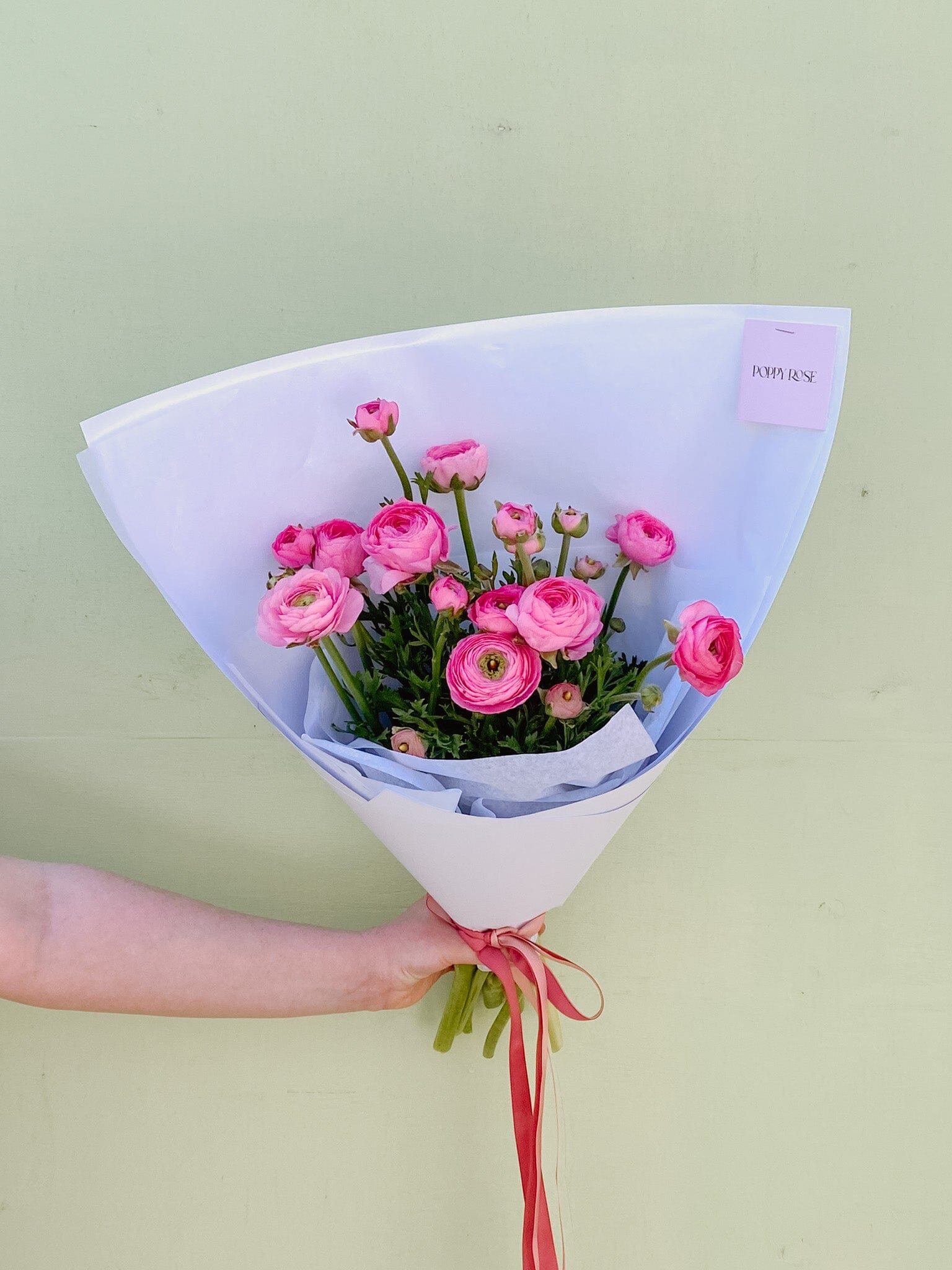 Ranunculus Flowers Poppy Rose 