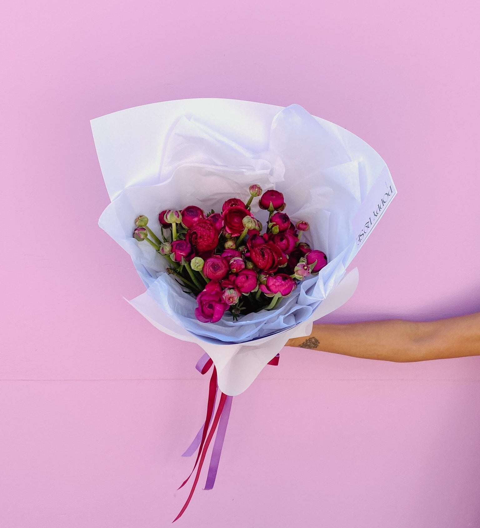 Ranunculus Flowers Poppy Rose Double 