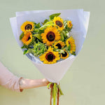 Sunflowers Flowers Poppy Rose Double Serve 