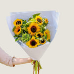 Sunflowers - Poppy Rose - Poppy Rose Flowers Brisbane