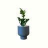 Zanzibar Zenzi in Arya Pot - Poppy Rose - Poppy Rose Flowers Brisbane