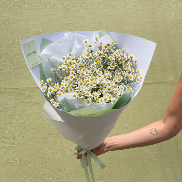 A bunch of yellow and white daisies which are available for delivery across Brisbane every week day